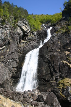 foss